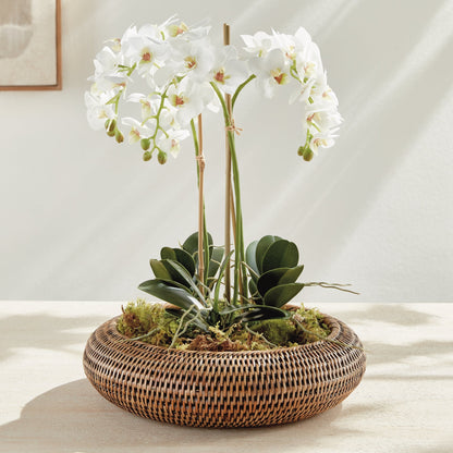 Rattan Shallow Display Bowls, Set of 2 - Image 15