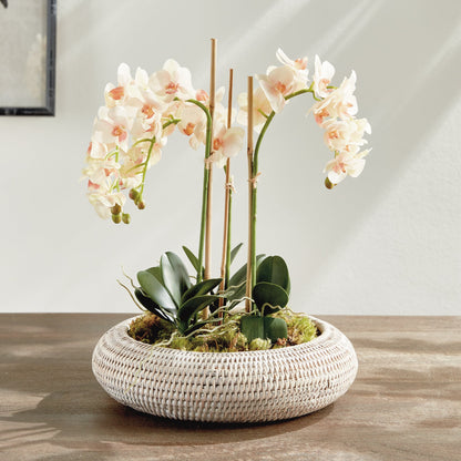 Rattan Shallow Display Bowls, Set of 2 - Image 6